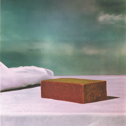Rust-colored rectangular block on a white surface with a blurred green and gray background