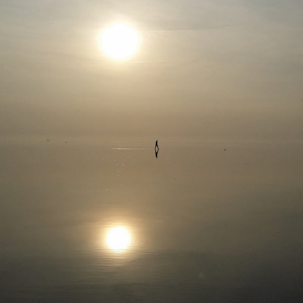 All Else Falls To Shadow